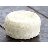 Cacio Ricotta Käse