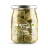 Bella Cerignola Oliven