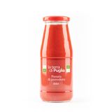 Fiaschetto Süßes Tomatenpüree